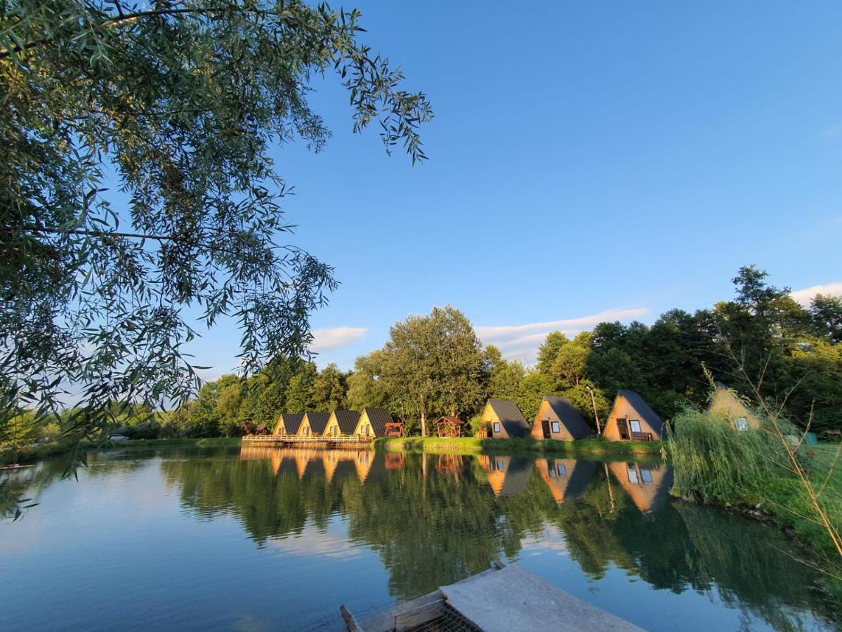 Pastravaria Zavoi Valea Danului Bagian luar foto