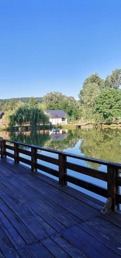Pastravaria Zavoi Valea Danului Bagian luar foto