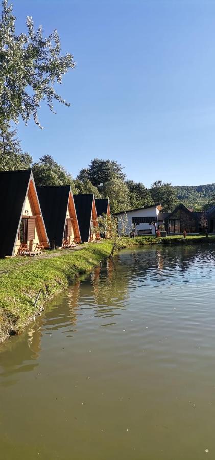 Pastravaria Zavoi Valea Danului Bagian luar foto