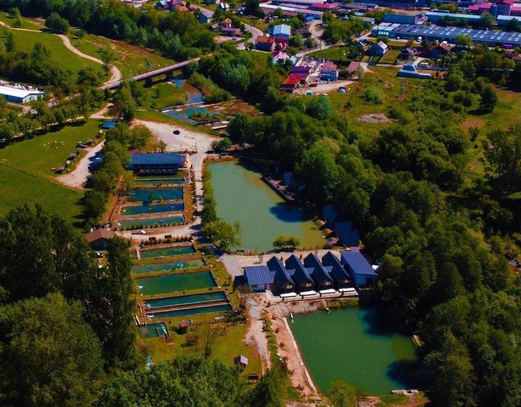 Pastravaria Zavoi Valea Danului Bagian luar foto
