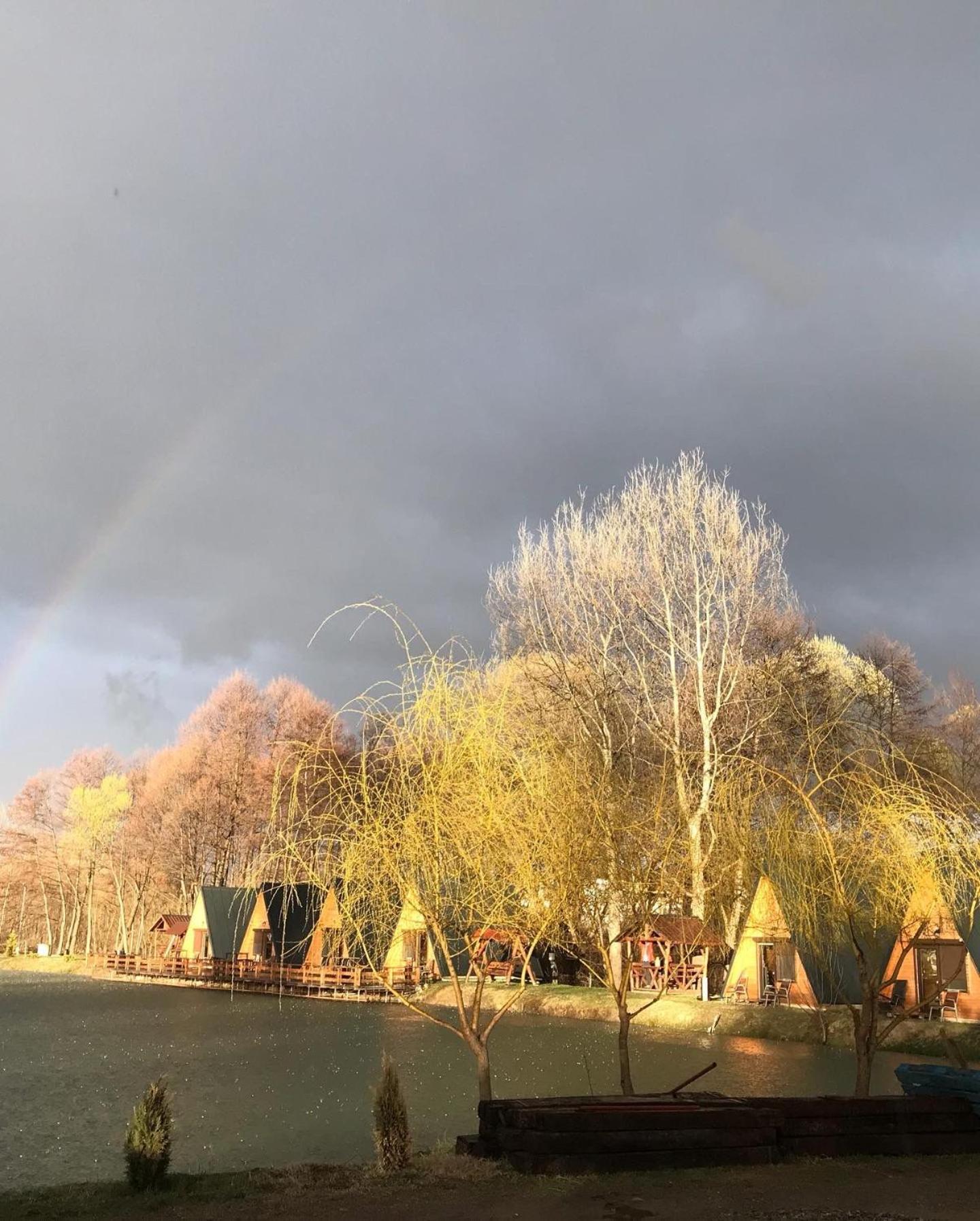 Pastravaria Zavoi Valea Danului Bagian luar foto
