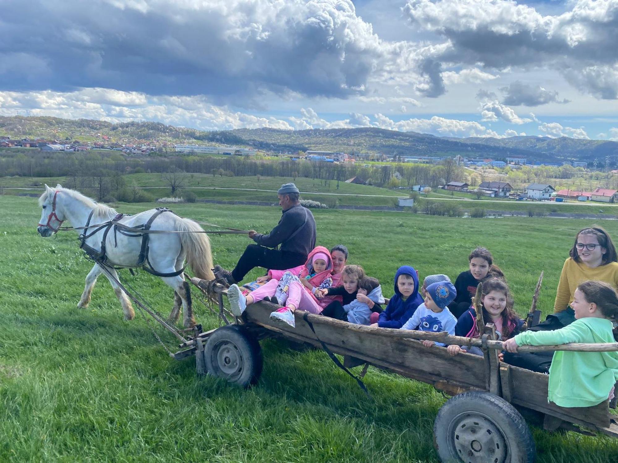 Pastravaria Zavoi Valea Danului Bagian luar foto