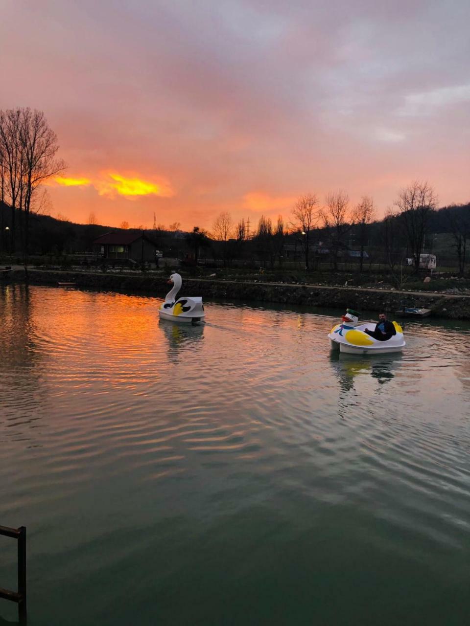 Pastravaria Zavoi Valea Danului Bagian luar foto